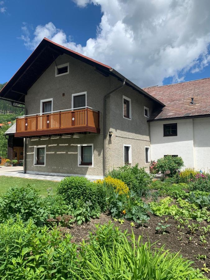 FeWo Lüttich Etmissl Exterior foto